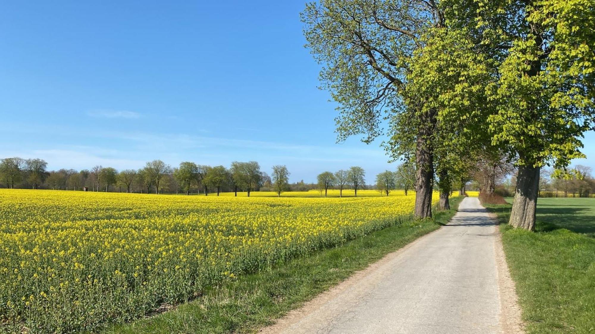 Gut Koselau Landhaus II Exteriör bild